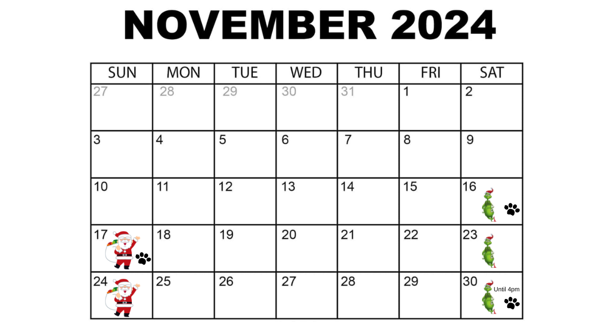 november schedule for christmas photos